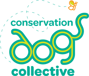 Conservation Dogs Collective