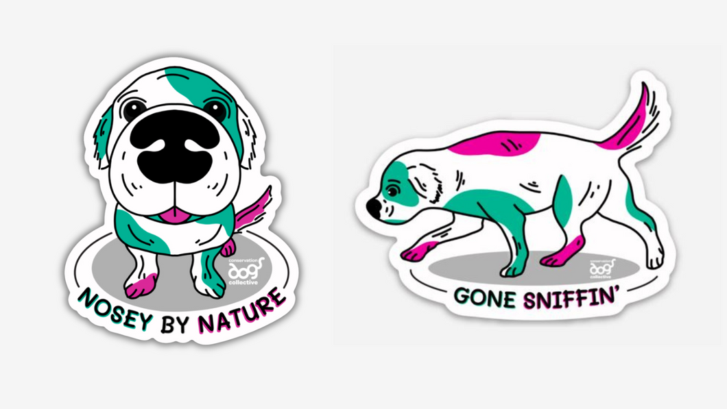 Nosey Dog Sticker Pack